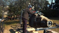 Giovanni Bailoni al lavoro2