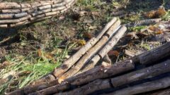 alberi-ricomposti-003